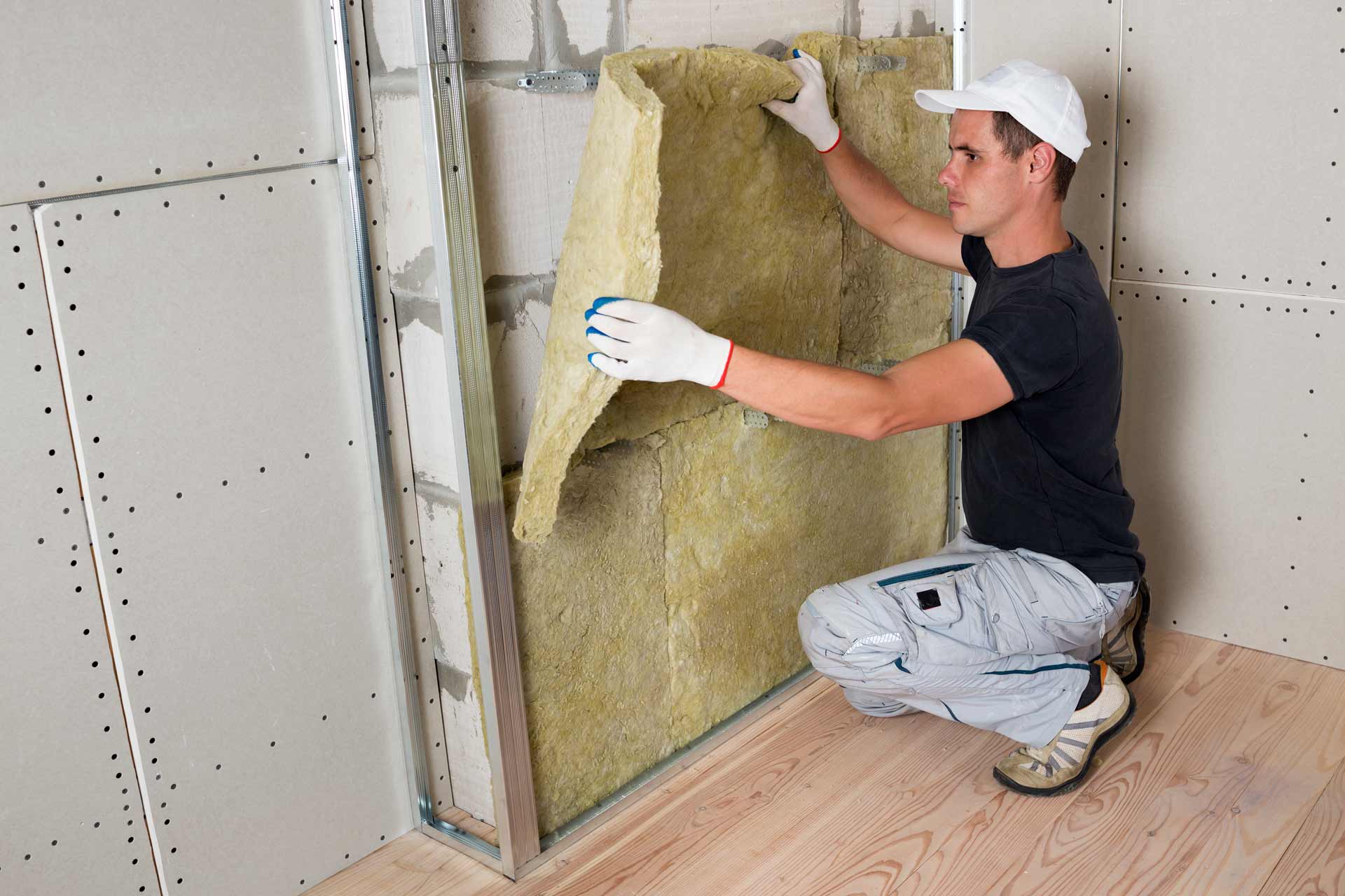The Role of Insulation Services in Pest Control (And Why it Matters)